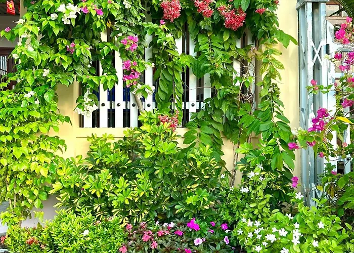 Homestay Nha Ven Song
